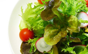 太陽のレタス様TVCM制作